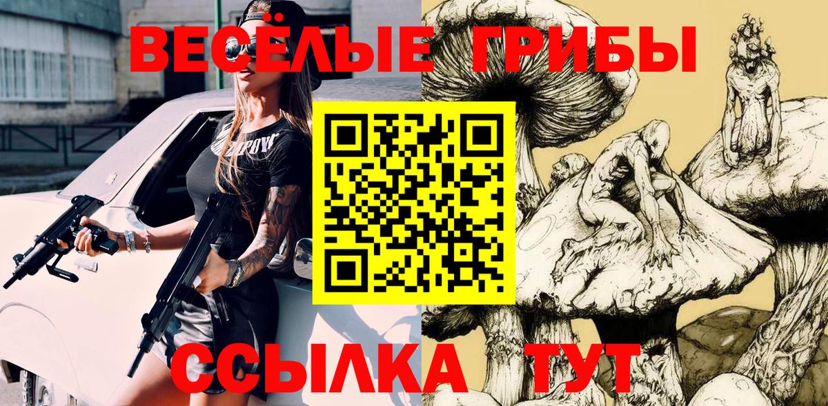 что такое   Вход с VPN  Соликамск  Псилоцибиновые грибы GOLDEN TEACHER 